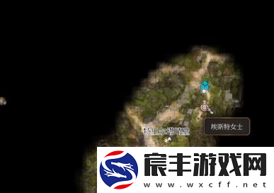 博德之门3不和谐音怎么获取-不和谐音获取方法一览