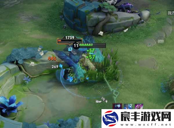 S37已诞生两个黑马