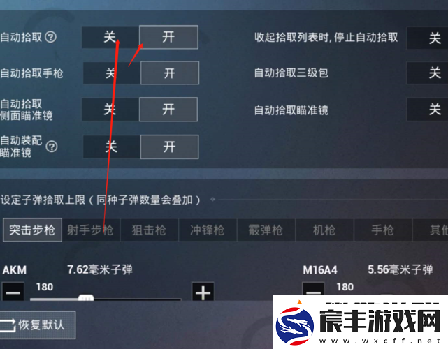 和平精英自动拾取设置与背包合理利用：攻略详解
