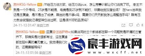KSG赛训负责人回应年总失利