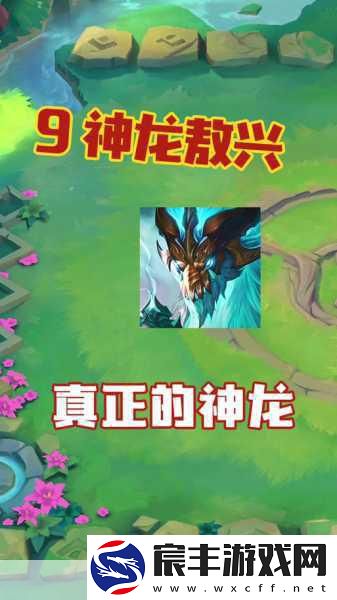 金铲铲之战-探索巨型九头蛇的合成奥秘