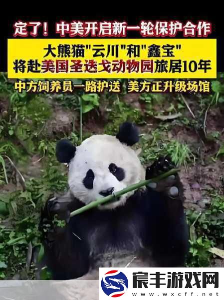 武动乾坤震撼揭秘-涅槃古墓府探险之旅正式启程！