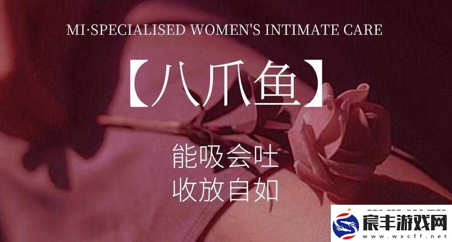 八爪鱼紧缩术价格：你需要知道的