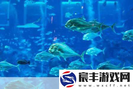 希望传说神秘海底世界惊艳亮相-与鱼群共舞新体验！