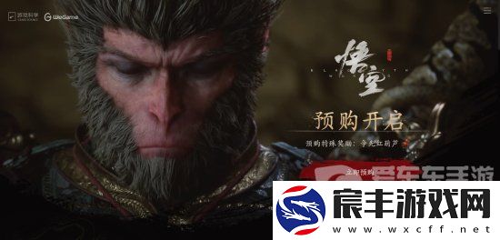 黑神话悟空是哪个公司-黑神话悟空公司介绍