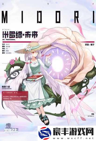 探索神秘的黑潮之上-开启奇幻之旅