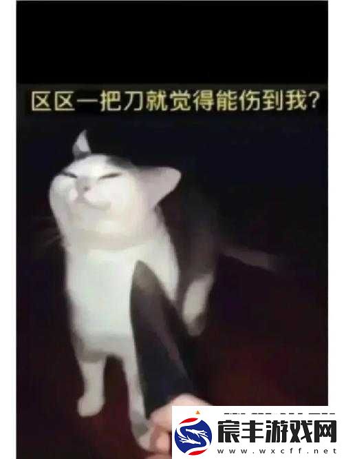 一人一狗被困游戏-6-小时：这是人性的扭曲还是道德的沦丧