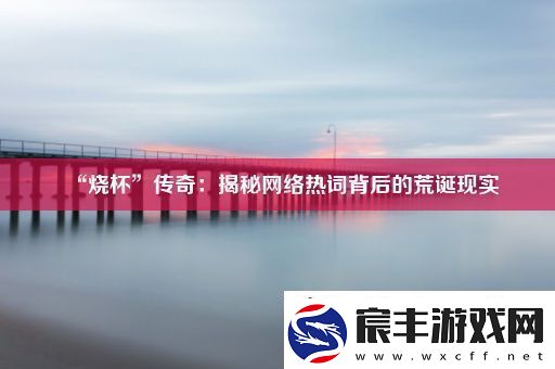 “烧杯”传奇：揭秘络热词背后的荒诞现实