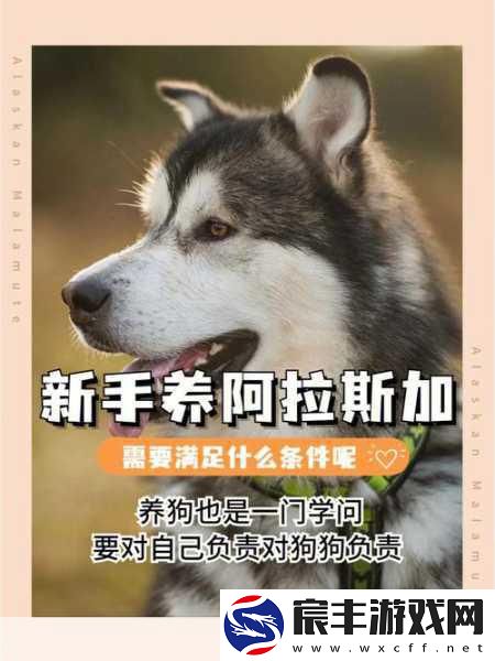 权力与荣耀神谕测试在即-你准备好了吗