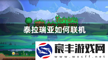 泰拉瑞亚如何联机-好友联机的具体详细方法的攻略
