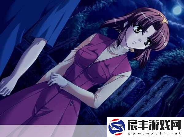 第七夜:无限轮回的终结-守野至美全攻略