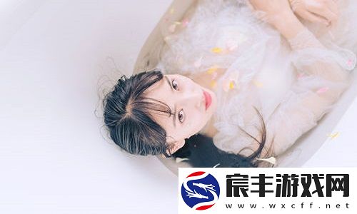 韩国理论大全：文化密码全揭秘-独特理论刷新你的认知！