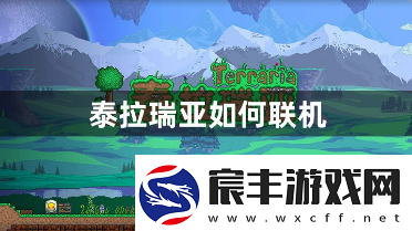 泰拉瑞亚如何联机-好友联机的具体详细方法的攻略