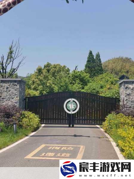 奇迹MU惊喜连连-黄金幼龙成宝箱猎人兼萌宠养成新潮流！-奇迹最强者探索记