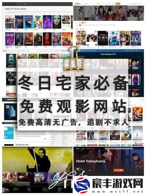 免费站在线观看人数在哪站的具体情况分析