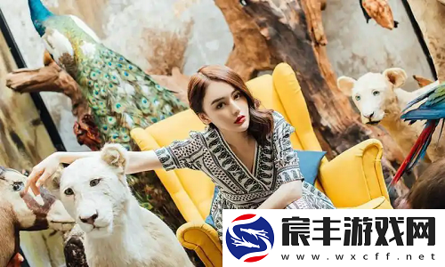 成品视频Nike1688源码：成品视频的强大功能与应用场景！
