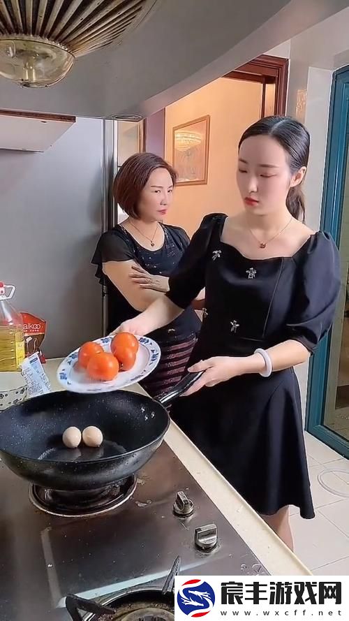 “科技江湖儿媳妇儿引爆热情的‘芯片’”