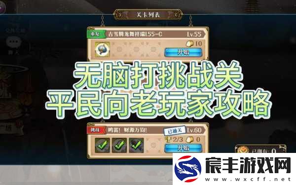 愤怒的小鸟-新挑战与攻略大揭秘-玩家必看！