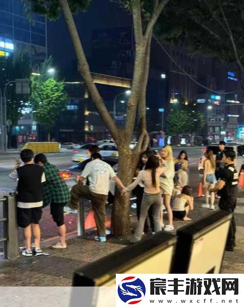 王思聪新公司动向引手游玩家遐想-外卖AI双管齐下