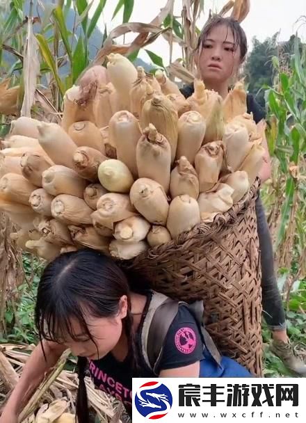 农夫“果儿”奇遇记：科技田里的意外硕果
