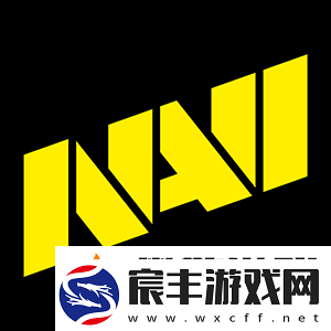 NAVI晋级动态-jL：SAW对顶级战队很有威胁