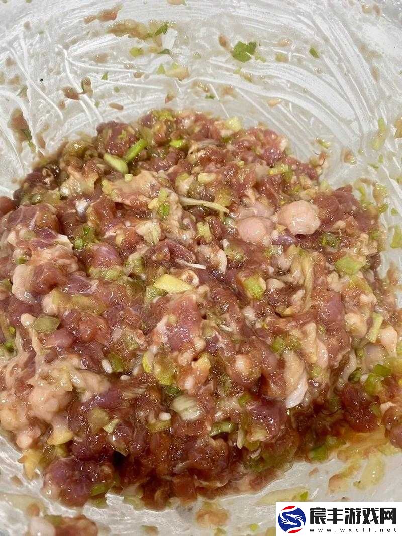 授课方式肉馅小水饺晋骨：美味制作教程