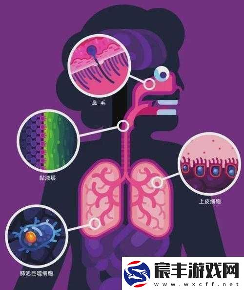男配每天都在体内成结节：这可怎么办