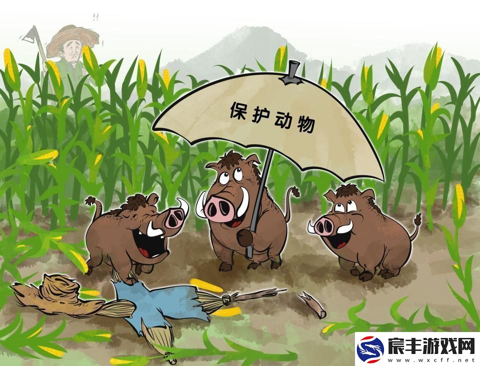 人类VS禽兽：心理共战网上新瓜熟了