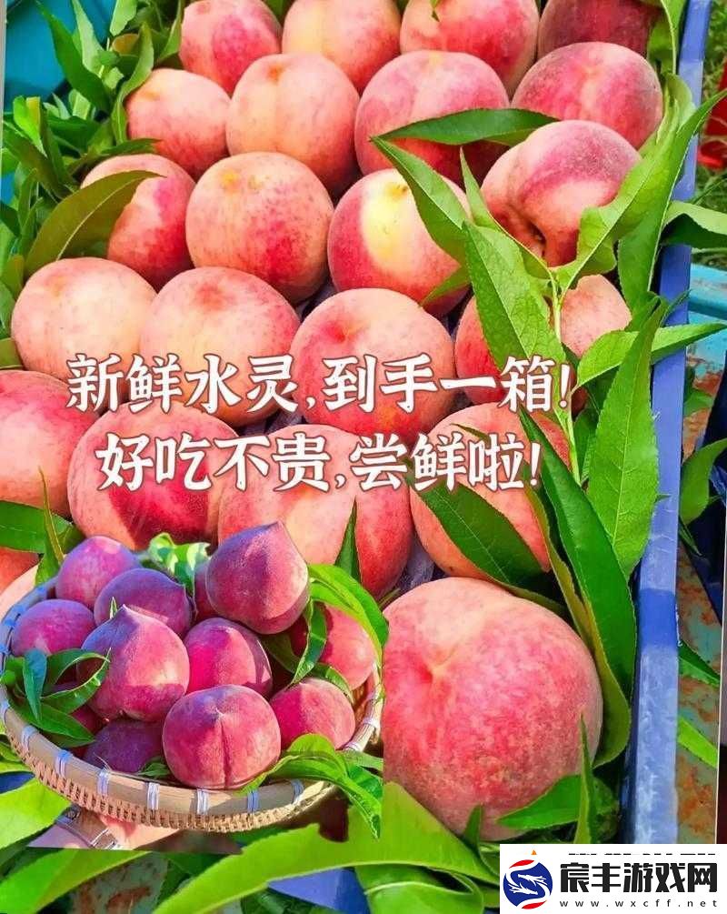 79-国精产品水蜜桃-hd：一场水果的盛宴
