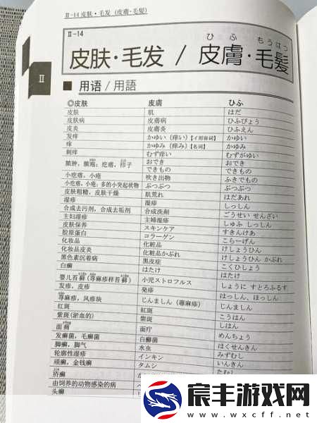 女人毛太多进不去-1.-女人毛发过多困扰-如何巧妙应对