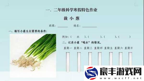 真会玩！解锁指尖魔力-15种嗨翻天的手指Play秘籍