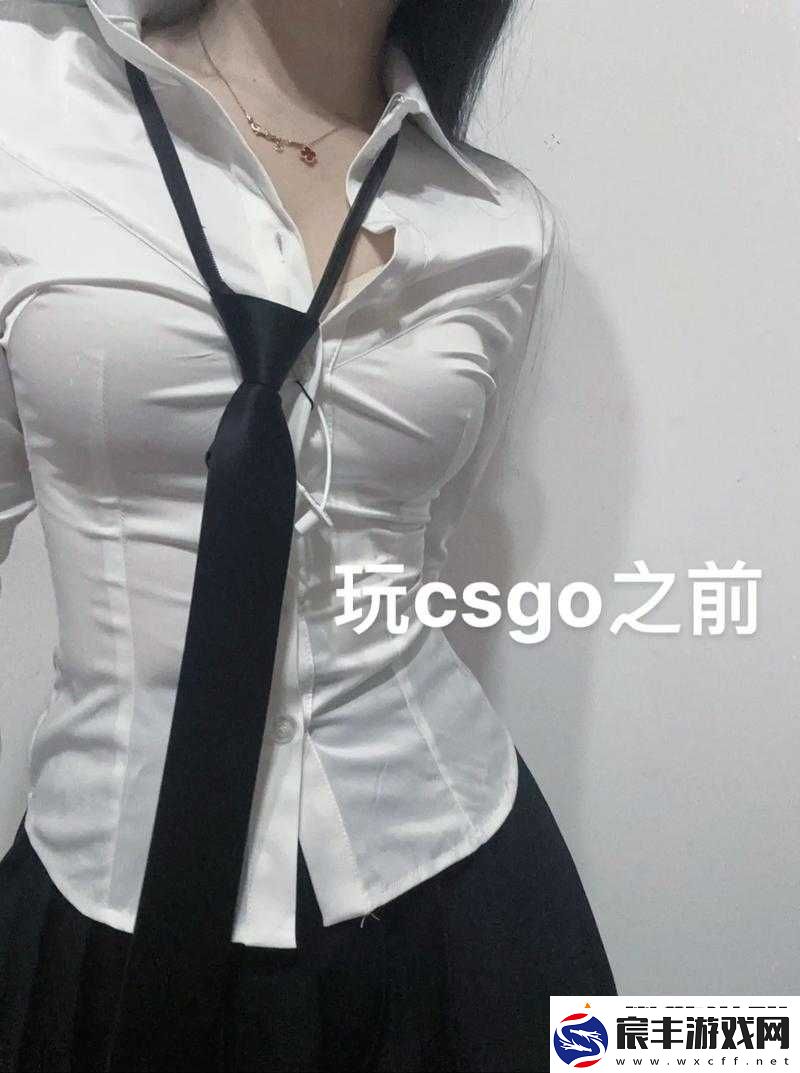 暴躁少女-CSGO：热血竞技的非凡之旅