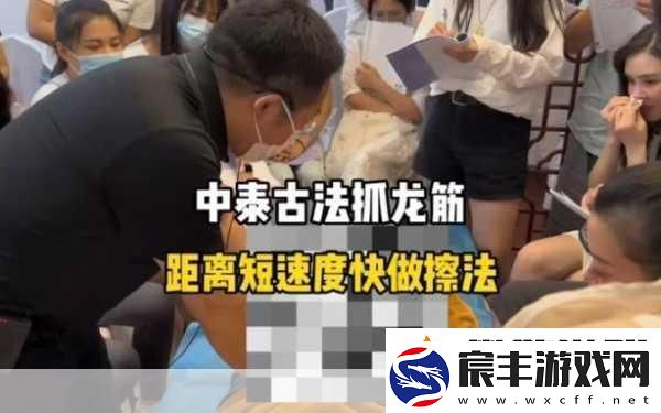 麻花传MD0190苏畅抓凤筋：-苏畅揭秘凤筋的独特魅力与用途