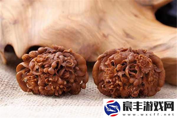 横扫千星-探寻那些被遗忘的星际征途