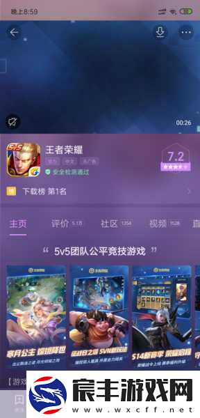 王者荣耀错误代码