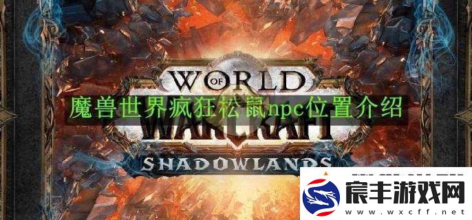 魔兽世界疯狂松鼠npc在哪里