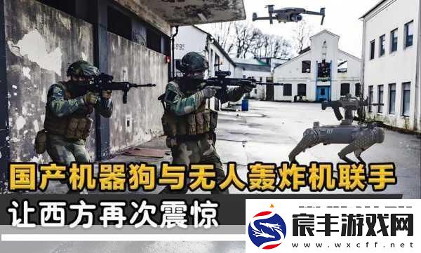 国产线路3国产线路2迎来一波免费：-国产线路3与线路2联手-免费拓展新机遇！