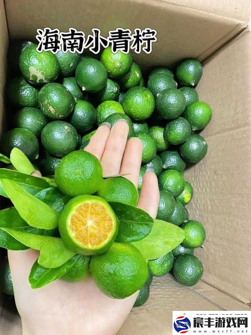 青柠资源：畅享免费资源的宝藏之地