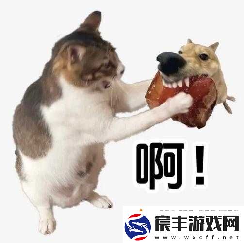 太子宠妾高肉红烧肉包讲的什么：深度解析