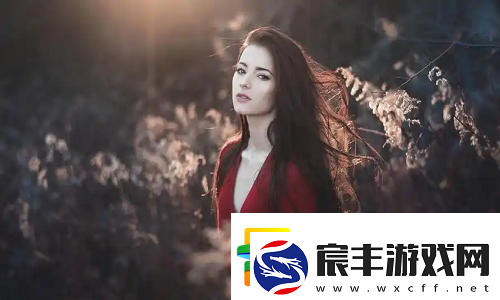 2024年日本三色电费免费政策：电费免费还能领补贴-这样申请超简单！