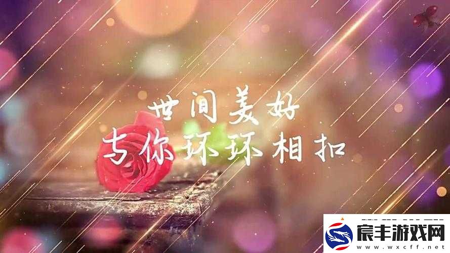 双双飞-MV：爱情的甜蜜与浪漫