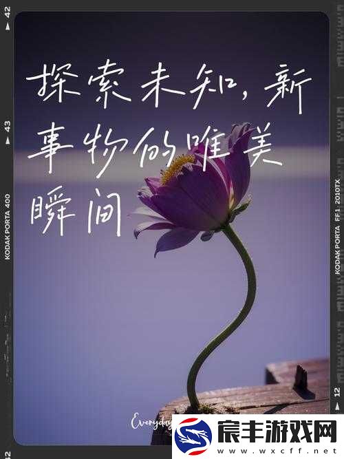 91-国精产品自偷自偷综合：探索未知的世界