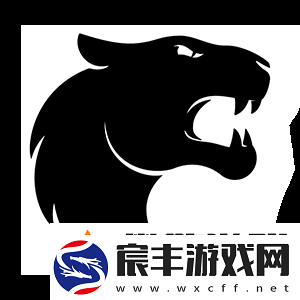 innersh1ne：Spirit太依赖donk的发挥了