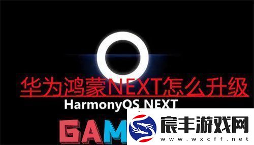 华为鸿蒙NEXT怎么升级-2024华为鸿蒙NEXT系统公测升级步骤