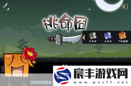 像素鸟传奇-从爆红到下架的非凡之旅