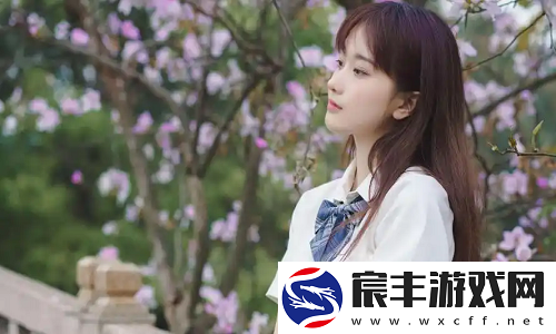欧洲尺码与日本尺码专线不卡顿:无缝对接欧洲与日本尺码差异-轻松购物不再卡顿!