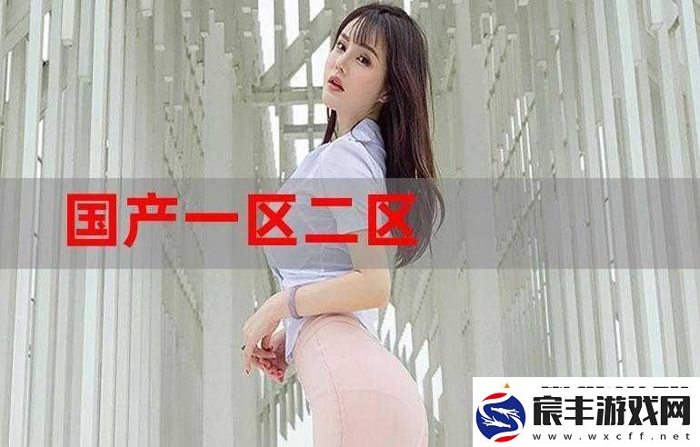 国产一区：相关介绍及分析