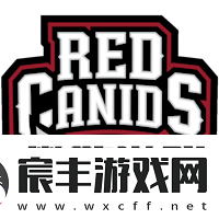HEN1：是否愿意回归赛场对boltz而言着实是个艰难抉择