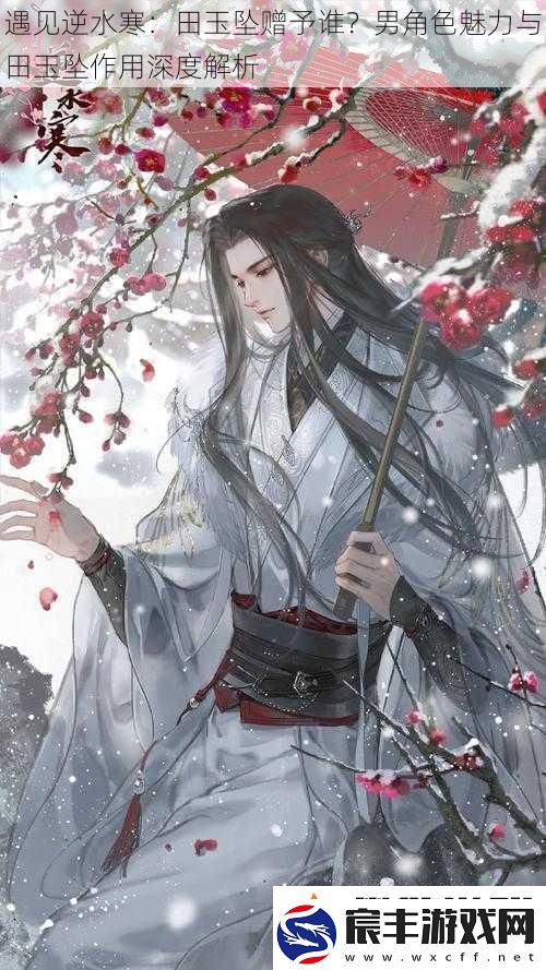 遇见逆水寒：田玉坠赠予谁-男角色魅力与田玉坠作用深度解析