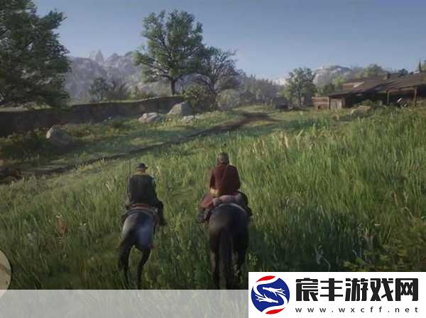 公园里的老年镖客视频大全：阳光下的老年镖客：公园里的传奇故事与精彩瞬间